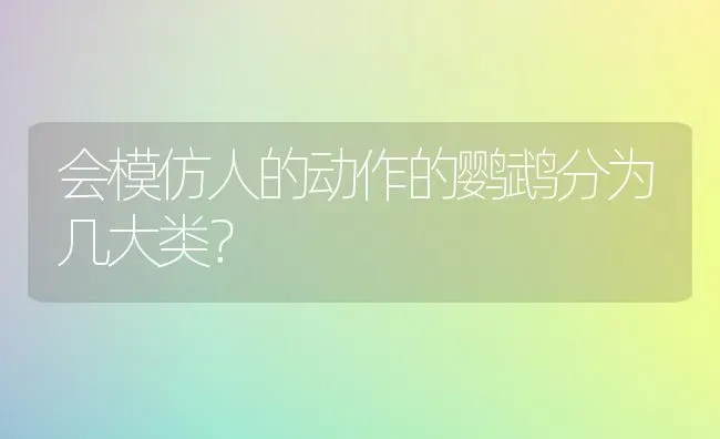 会模仿人的动作的鹦鹉分为几大类？ | 动物养殖问答