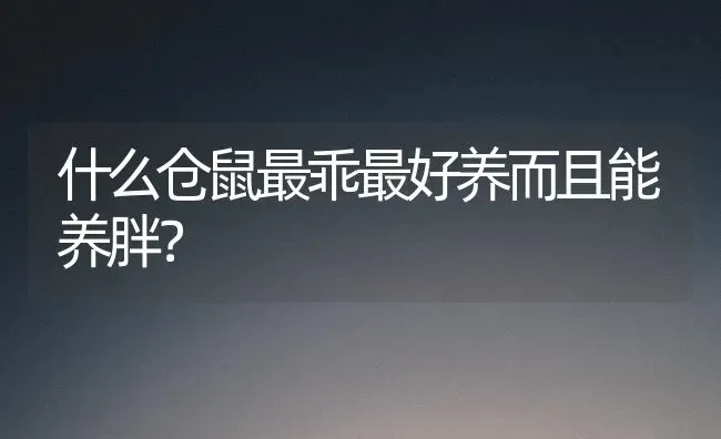 养宠经验：布偶猫拉稀禁食多久，猫咪拉稀禁食24？ | 动物养殖问答