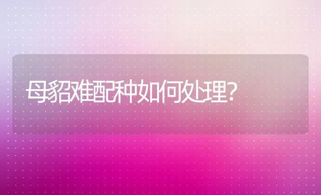 母貂难配种如何处理？ | 动物养殖百科