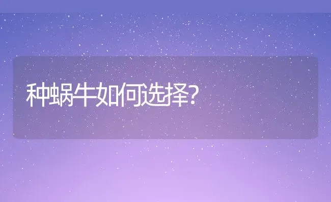 种蜗牛如何选择？ | 动物养殖百科