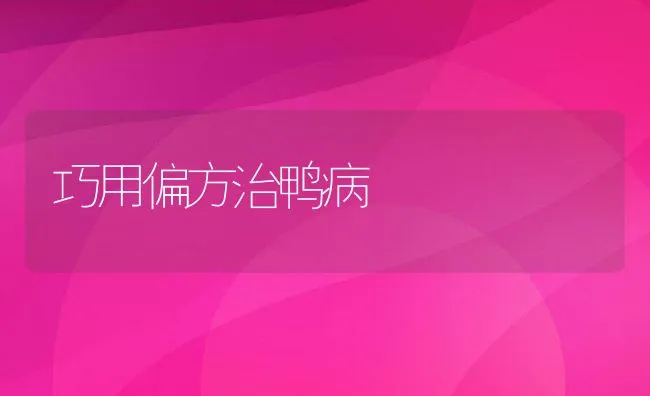 巧用偏方治鸭病 | 动物养殖学堂