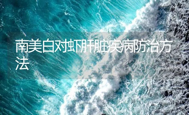 南美白对虾肝脏疾病防治方法 | 海水养殖技术