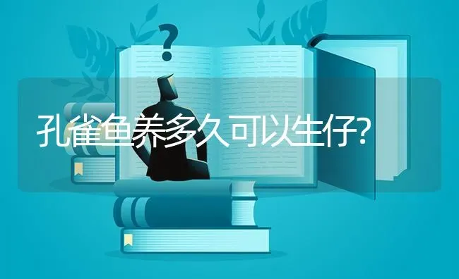 孔雀鱼养多久可以生仔？ | 鱼类宠物饲养