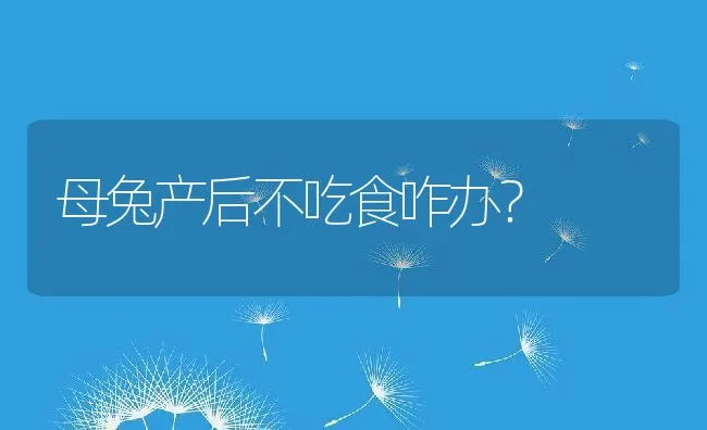 母兔产后不吃食咋办？ | 水产养殖知识