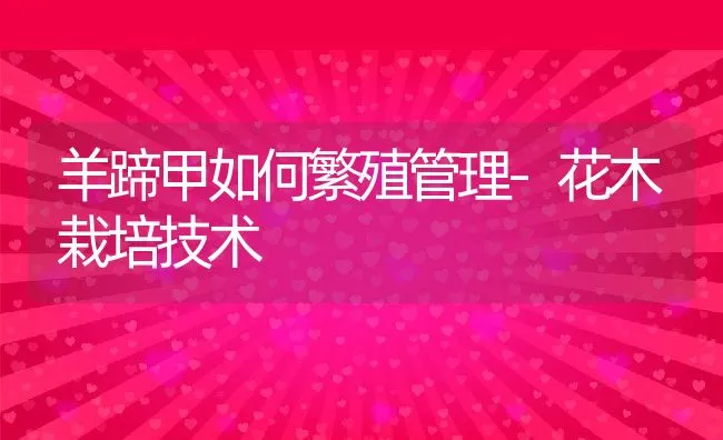 浙江丽水市推进稻田养鱼试点工作 | 海水养殖技术