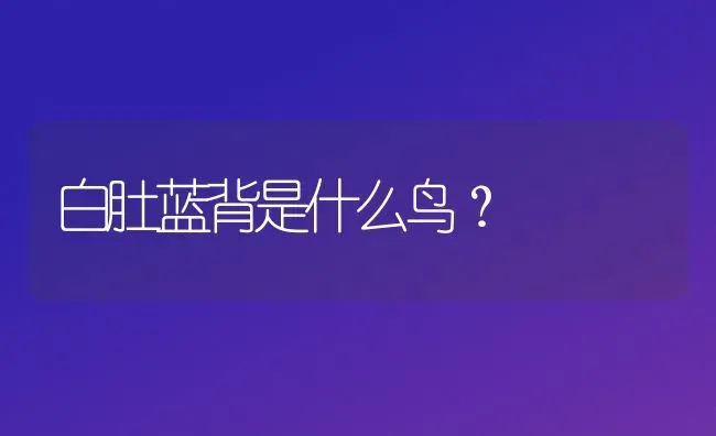 白肚蓝背是什么鸟？ | 动物养殖问答