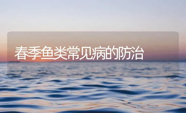 春季鱼类常见病的防治 | 海水养殖技术