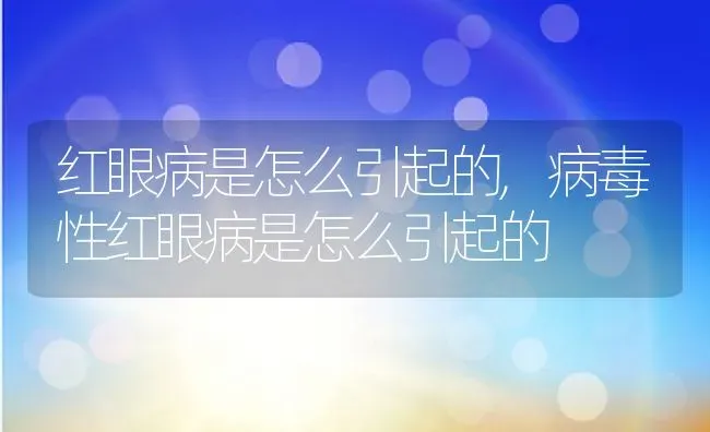 红眼病是怎么引起的,病毒性红眼病是怎么引起的 | 宠物百科知识