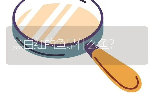 黑白红的鱼是什么鱼？ | 鱼类宠物饲养