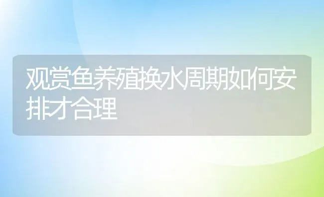 观赏鱼养殖换水周期如何安排才合理 | 动物养殖教程