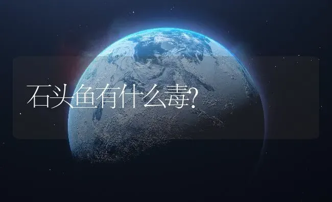 石头鱼有什么毒？ | 鱼类宠物饲养