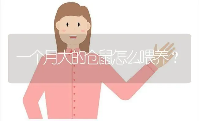 一个月大的仓鼠怎么喂养？ | 动物养殖问答