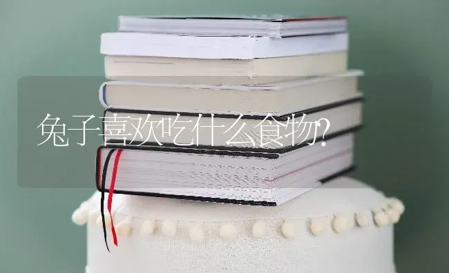 兔子喜欢吃什么食物？ | 动物养殖问答