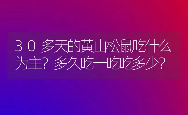 30多天的黄山松鼠吃什么为主？多久吃一吃吃多少？ | 动物养殖问答