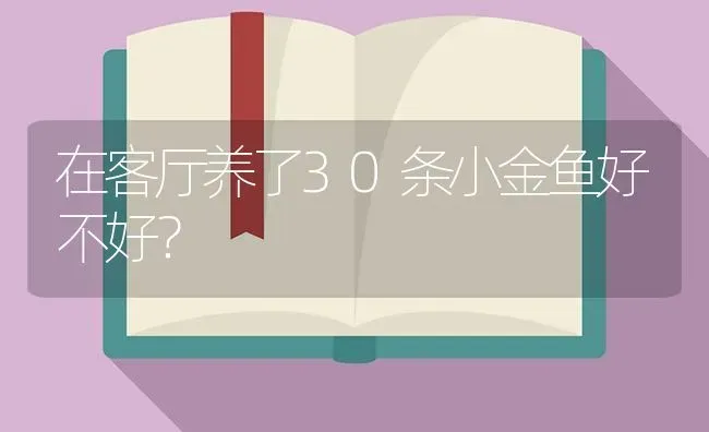 在客厅养了30条小金鱼好不好？ | 鱼类宠物饲养