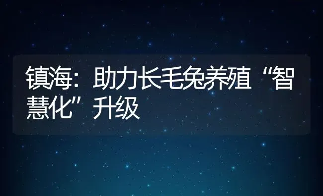 镇海：助力长毛兔养殖“智慧化”升级 | 动物养殖教程