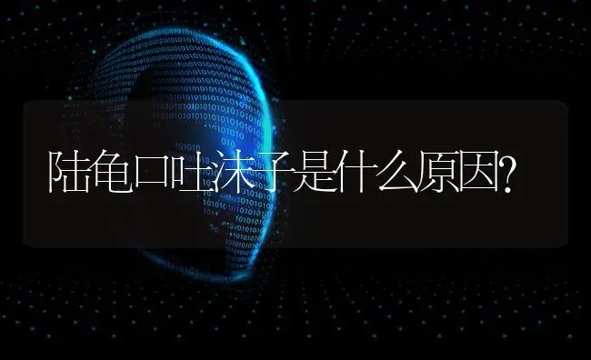 陆龟口吐沫子是什么原因？ | 动物养殖问答