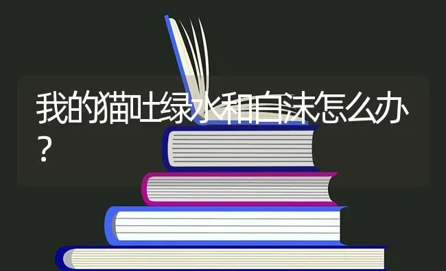 我的猫吐绿水和白沫怎么办？ | 动物养殖问答