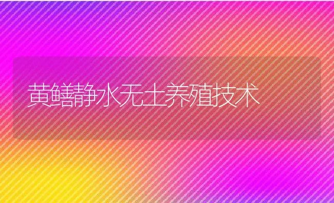 产蛋鹌鹑冬季的管理 | 水产养殖知识