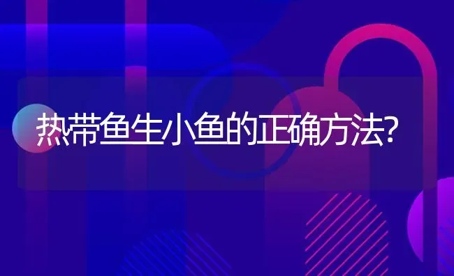 热带鱼生小鱼的正确方法？ | 鱼类宠物饲养