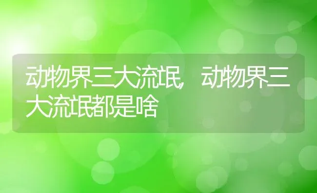 动物界三大流氓,动物界三大流氓都是啥 | 宠物百科知识