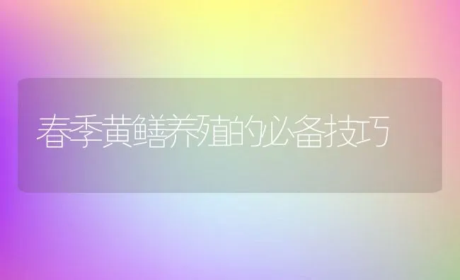 春季黄鳝养殖的必备技巧 | 水产养殖知识