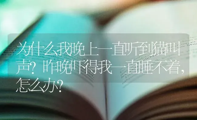 为什么我晚上一直听到猫叫声？昨晚吓得我一直睡不着，怎么办？ | 动物养殖问答