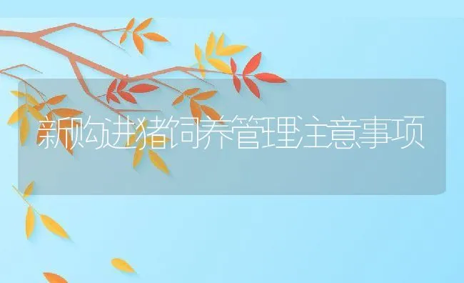 物链高效养殖全面应用技术 | 水产养殖知识