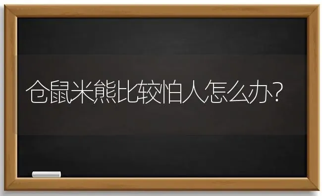 仓鼠米熊比较怕人怎么办？ | 动物养殖问答