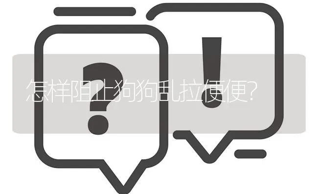 具体哪些大城市禁养德牧？ | 动物养殖问答