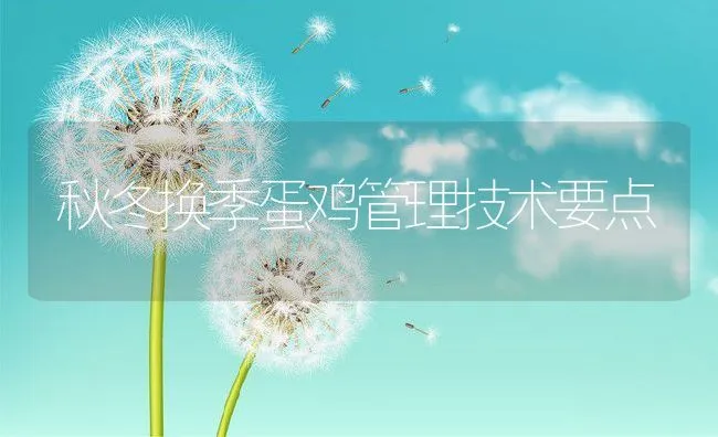 秋冬换季蛋鸡管理技术要点 | 动物养殖学堂