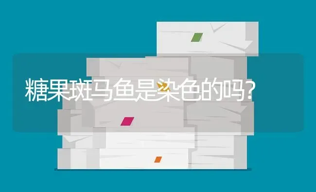 糖果斑马鱼是染色的吗？ | 鱼类宠物饲养