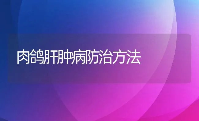 肉鸽肝肿病防治方法 | 水产养殖知识