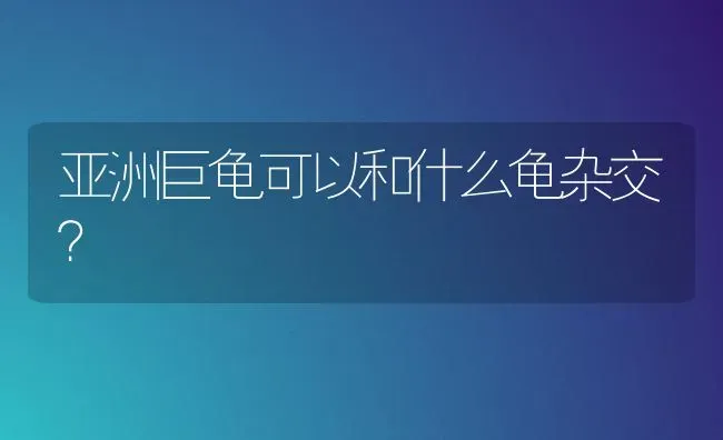 亚洲巨龟可以和什么龟杂交？ | 动物养殖问答