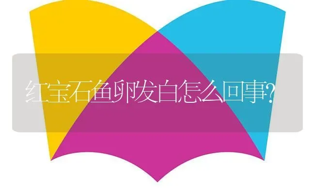 红宝石鱼卵发白怎么回事？ | 鱼类宠物饲养