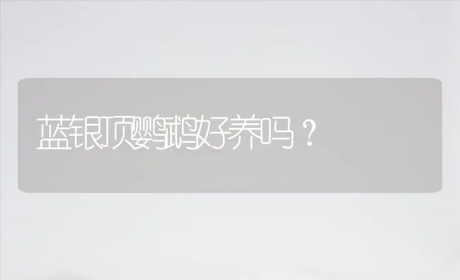 蓝银顶鹦鹉好养吗？ | 动物养殖问答