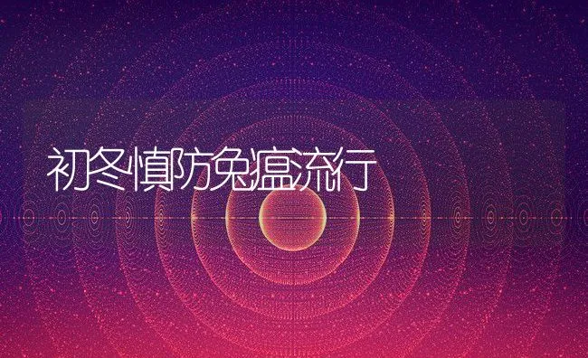 绿毛龟快速养殖法 | 海水养殖技术