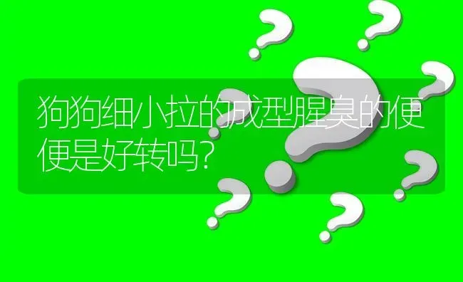 狗狗细小拉的成型腥臭的便便是好转吗？ | 动物养殖问答