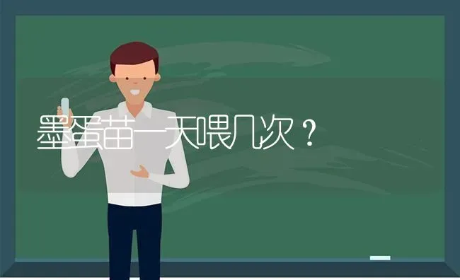 墨蛋苗一天喂几次？ | 动物养殖问答