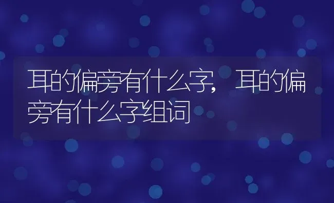 耳的偏旁有什么字,耳的偏旁有什么字组词 | 宠物百科知识