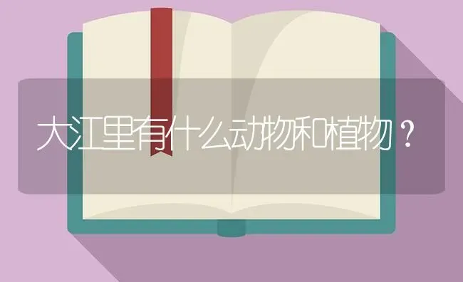 小兔子的养殖方法和注意事项？ | 动物养殖问答