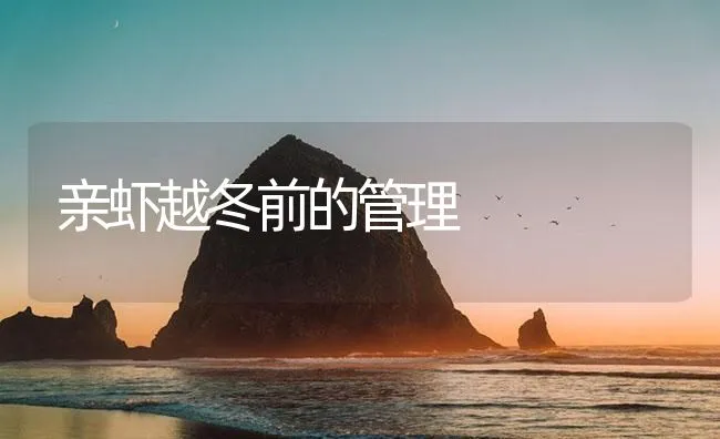 亲虾越冬前的管理 | 海水养殖技术