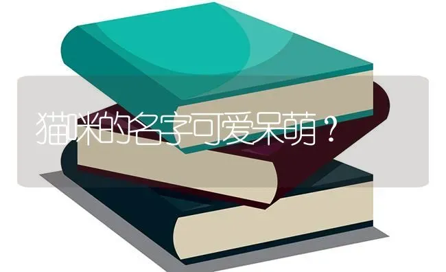 8个月的雪纳瑞狗粮喂多少？ | 动物养殖问答