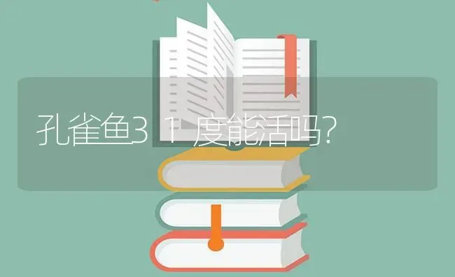 孔雀鱼31度能活吗？ | 鱼类宠物饲养