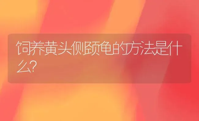 饲养黄头侧颈龟的方法是什么？ | 动物养殖问答