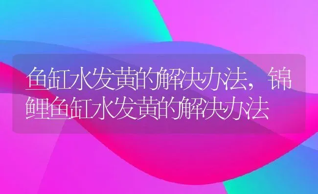 鱼缸水发黄的解决办法,锦鲤鱼缸水发黄的解决办法 | 宠物百科知识