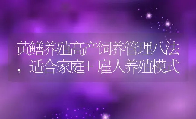 黄鳝养殖高产饲养管理八法，适合家庭+雇人养殖模式 | 动物养殖百科