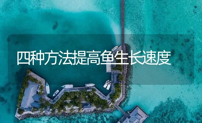 四种方法提高鱼生长速度 | 海水养殖技术