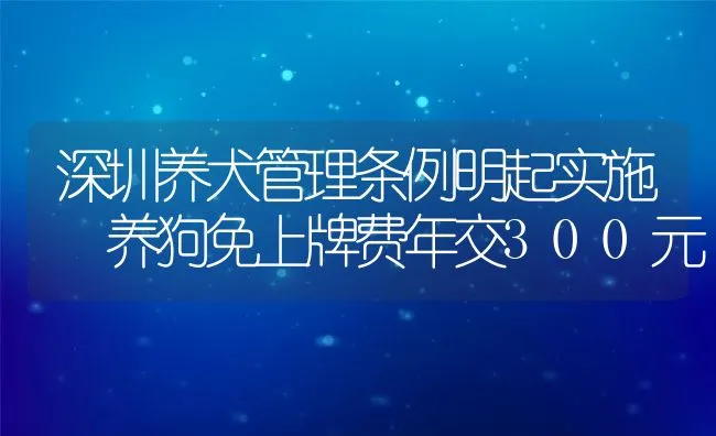 深圳养犬管理条例明起实施 养狗免上牌费年交300元 | 水产养殖知识