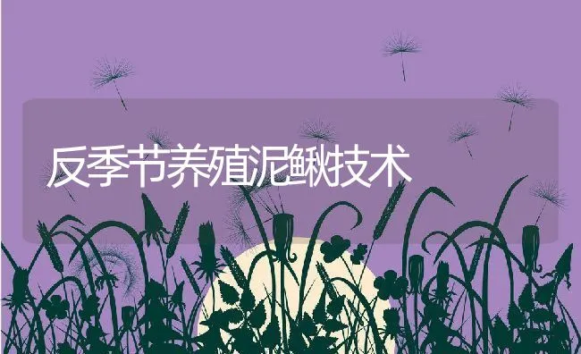 反季节养殖泥鳅技术 | 水产养殖知识